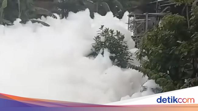 busa-di-kali-baru-cimanggis-depok-viral-di-jejaring-media-sosial-pada-28-november-2023-dok-istimewa-1_169.jpeg