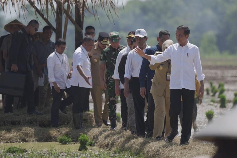 presiden-joko-widodo-jokowi-didampingi-menteri-pertanian-andi-amran_231213135101-523.jpeg