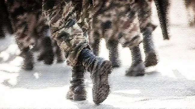 ilustrtasi-tni.webp.webp