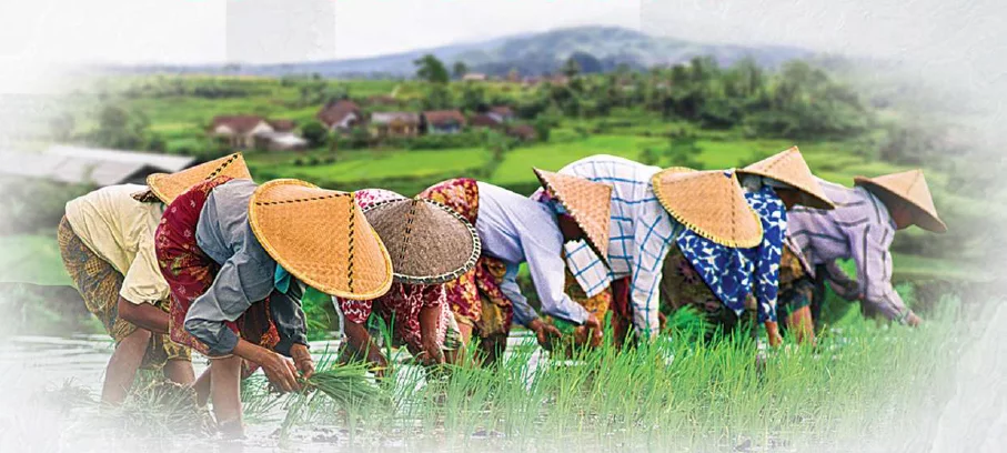 Cuplikan-layar-2024-02-25-210244.png