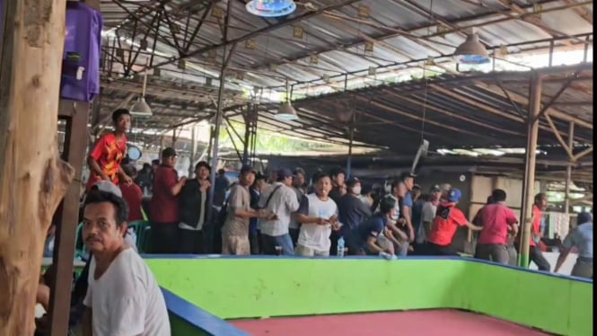669de8a7a2de3-ketika-pejudi-sabung-ayam-di-legok-stadium-kocar-kacir-saat-digerebek-polisi_665_374.jpg