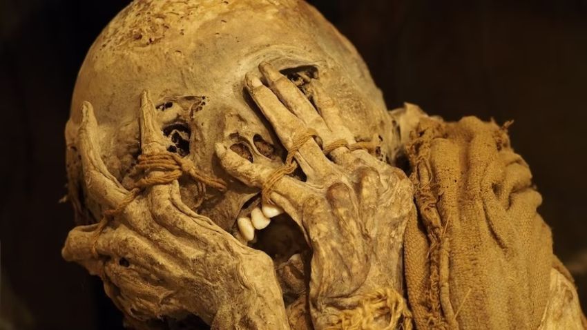 arkeolog-pecahkan-misteri-menakutkan-di-balik-kutukan-firaun-rmd.jpg