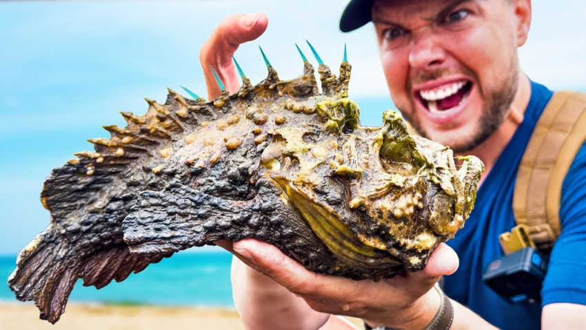 5-ikan-paling-beracun-di-dunia-sekali-sentuh-nyawa-melayang-qul.jpg
