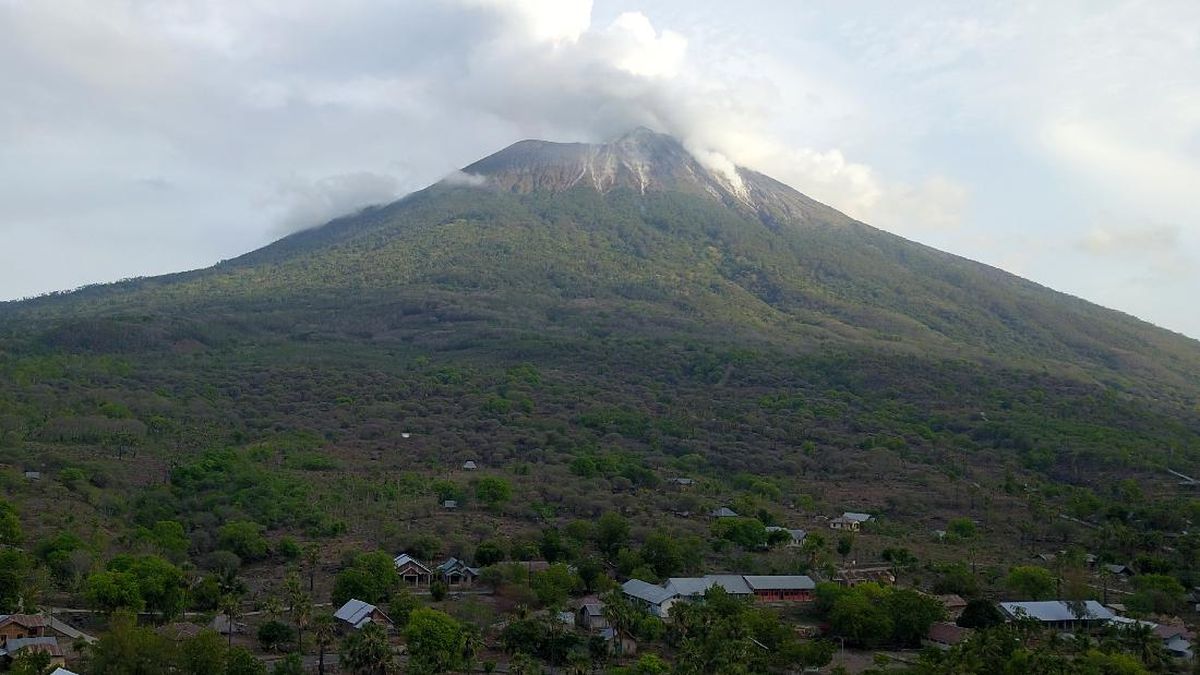 perkembangan-erupsi-gunung-ili-lewotolok-1_169.jpeg