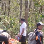 689d1a2e214ad-wanita-pekerja-salon-tewas-di-hutan-jati-dievakuasi-polres-ponorogo_665_374.jpg