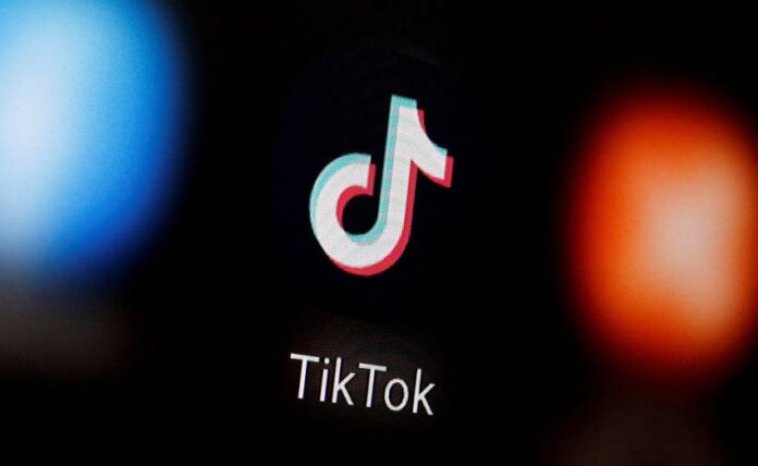 hantu-tiktok-muncul-di-india-beri-harapan-palsu-jutaan-orang-sebelum-kembali-lenyap-lbx.jpg