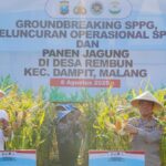 panen-raya-jagung-1754495243644_169.jpeg